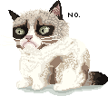 Grumpy Cat by ToySkunk