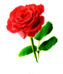 Rose 2a by Minia4