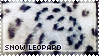 _ap_iii__snow_leopard_by_wishmasteralche