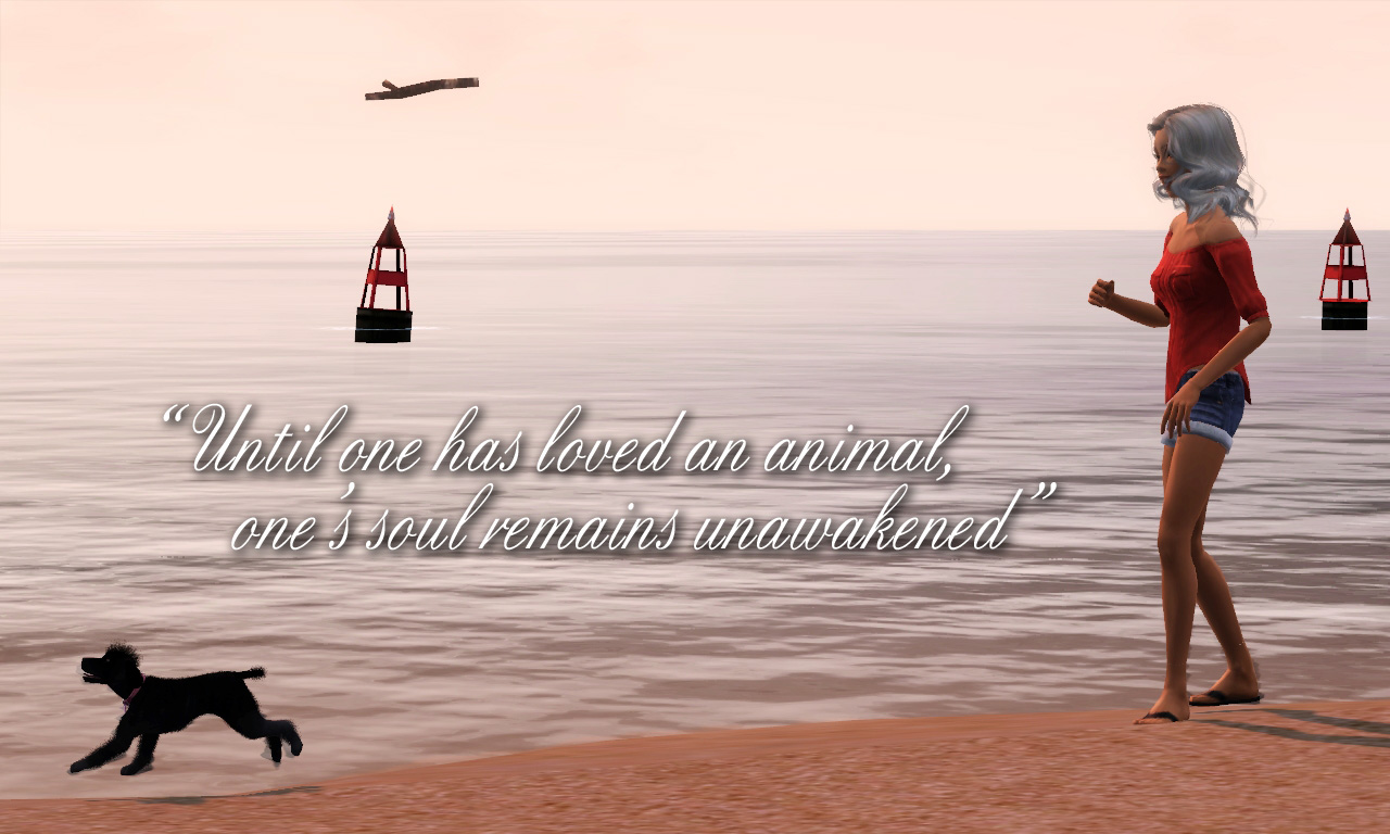 Until one has loved an animal Quote Graphic by yknsxblon