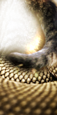 [X] Guerrier - Queue de Serpent - 30 lunes Vavaserp_by_ellexa007-dc4y8pj