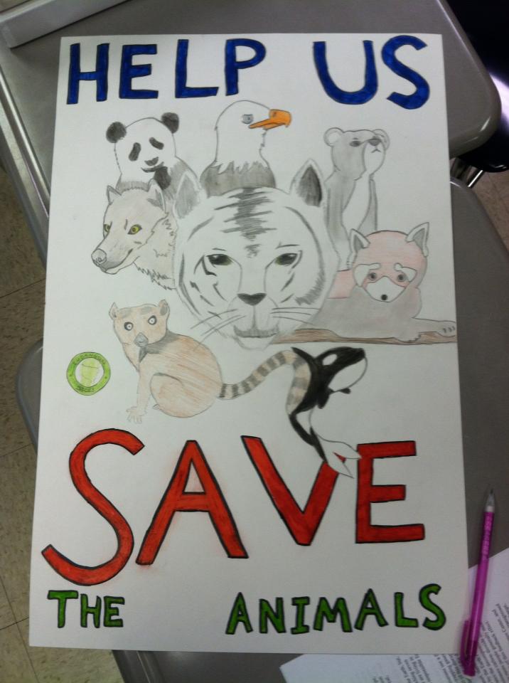 how to make a poster on endangered animals