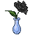 black Rose in teardrop crystal vase dewless