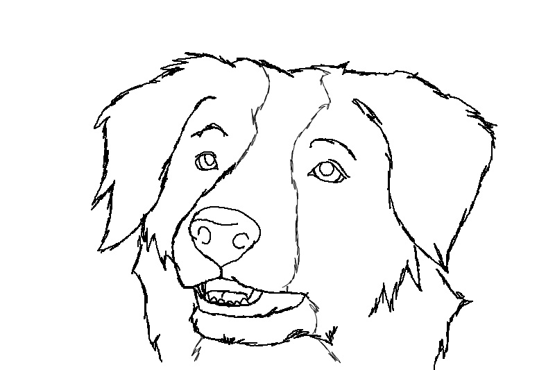 Border collie free lineart by Luchinfakes on DeviantArt