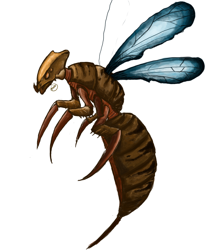 Silithid Wasp - WIP by Time-slip on DeviantArt