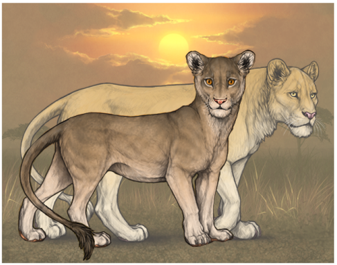 petite_lioness_by_bekiss-dcgoqiu.png