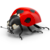 Icon - Ladybird by fmr0