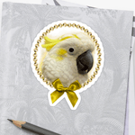 Sulphur Crested Cockatoo Realistic Painting Sticker