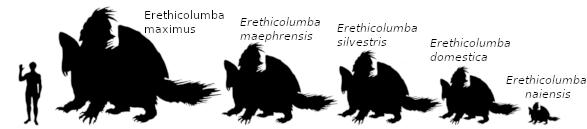 Comparativa entre las diferentes subespecies de Palomaespines por Jakeukalane