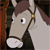 Fred the horse icon