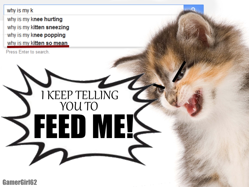 Google Why Is My Kitten So Mean? by FullOfBadIdeas on DeviantArt