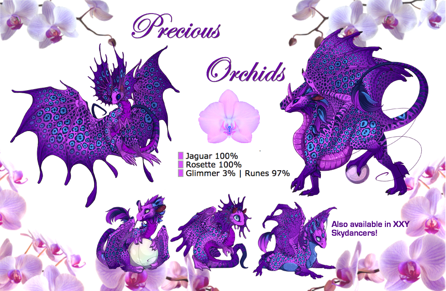 orchids_final_2_by_flighthatchery-dc879pp.jpg
