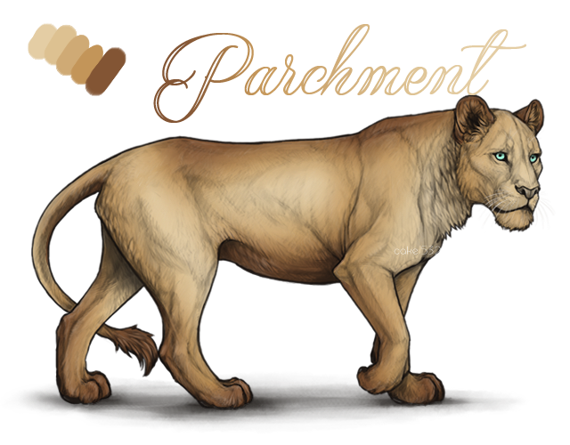 parchment_copy_by_usbeon-dbo23uf.png