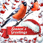 SeasonGreetings by KmyGraphic