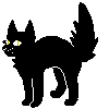 black cat pix by chokeholds