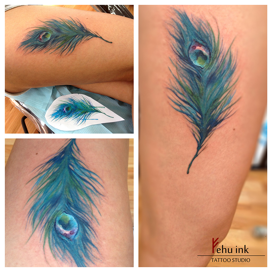 Watercolor peacock feather by ellegottzi on DeviantArt
