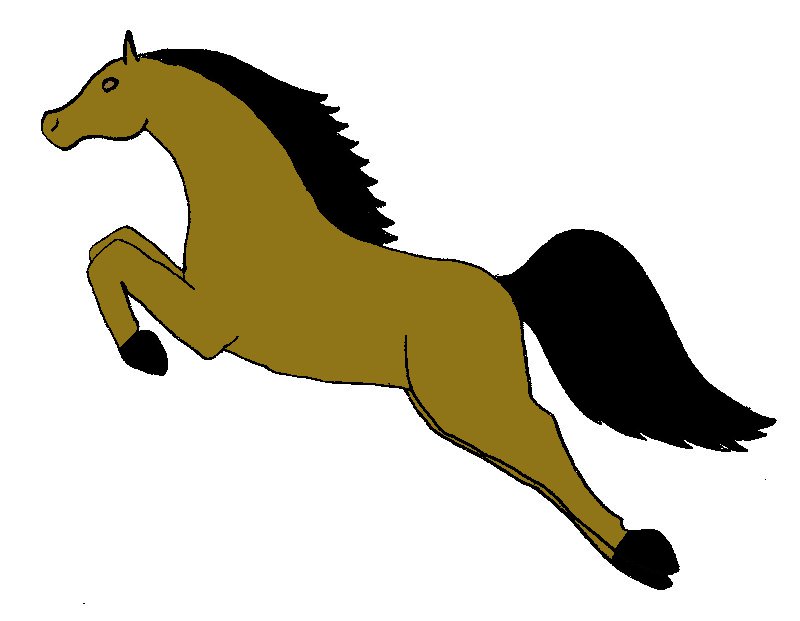Leaping Horse by acetrainer2 on DeviantArt