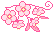 cherry blossoms h