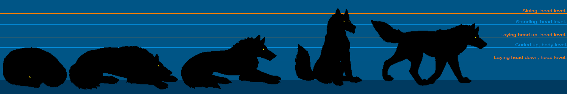 Pose sizing chart. Size_chart_dire_or_larger_canines_by_fezsinner-dbts28o
