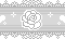 Pixel Divider Rose- White
