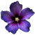 Flower icon.26