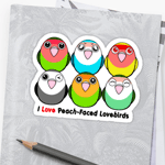 Cute Peach-faced lovebirds cartoon sticker