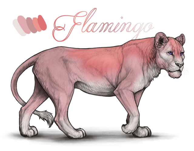 flamingoblurred_copy_by_usbeon-dbo0g3a.png