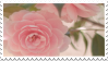 Pink Rose | Stamp by PuniPlush