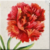 Red Carnation Icon