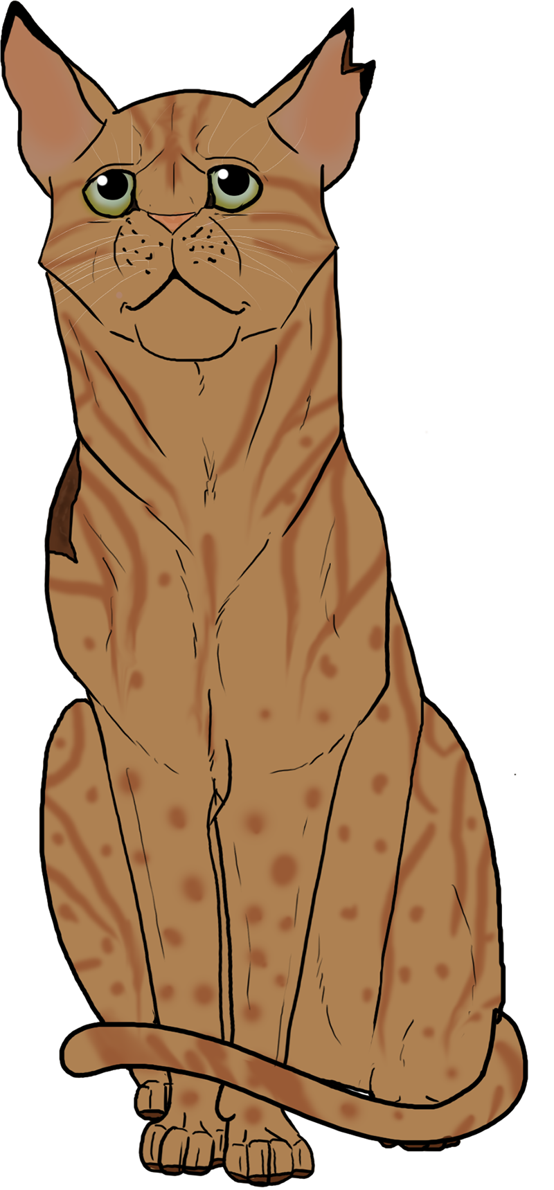 Cays art and requests (Closed) - Page 2 Leopardclaw_by_caysuna-dbvwgh7