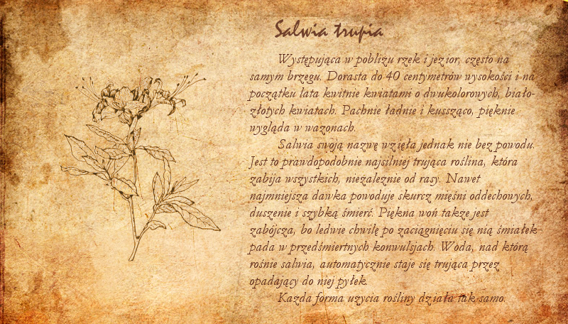 Zielnik - Page 3 Salwia_trupia_by_obrazkowewrzucanko-dbzyr2l