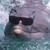 Savage / cool dolphin
