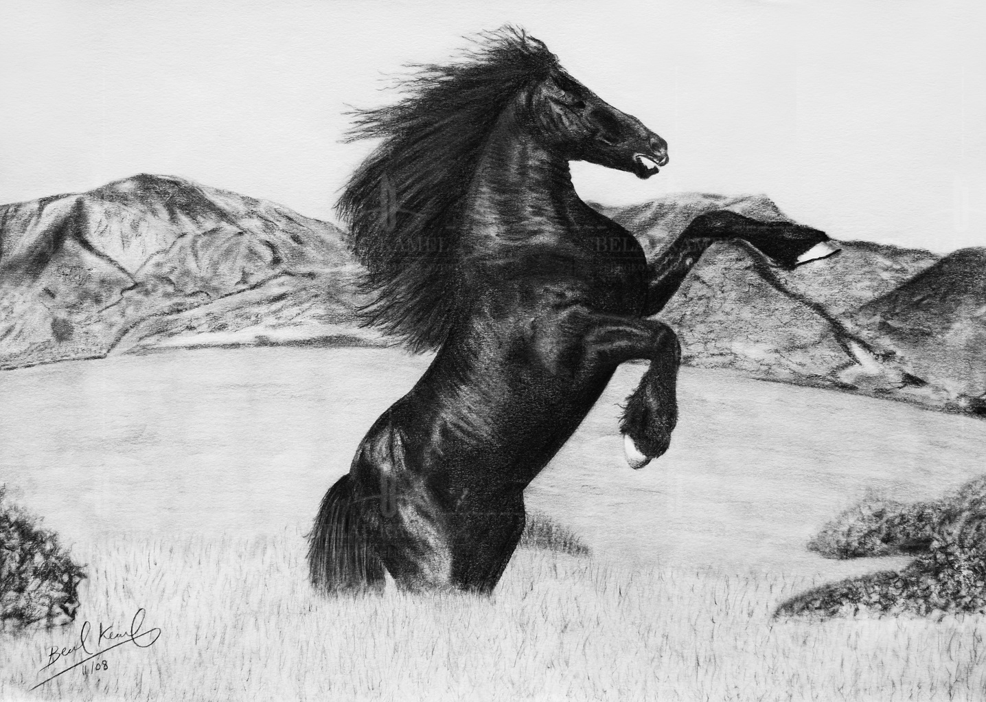 Horse pencil drawing by Belalkamel on DeviantArt