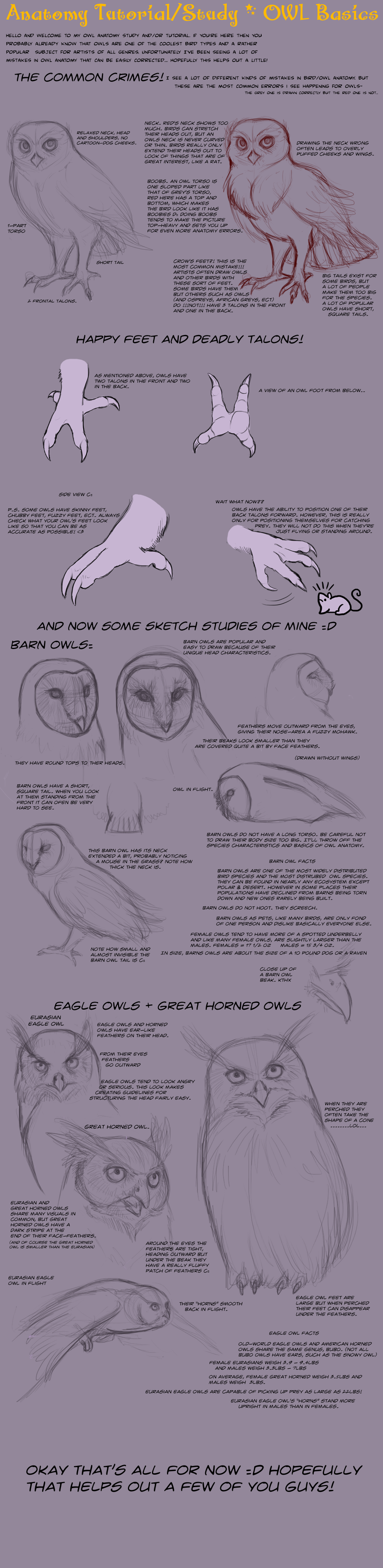 Anatomy Tutorial: Owl Basics by AddictionHalfWay on DeviantArt