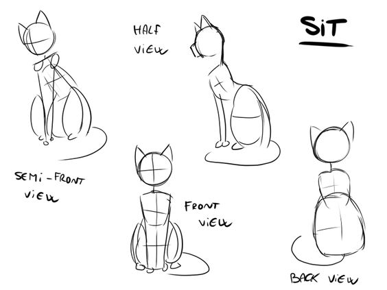 sitting_cat_anatomy__found_it_on_google_by_branchkit d9r1zto