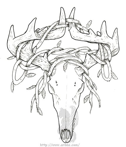 deer head rack sketches coloring pages - photo #25