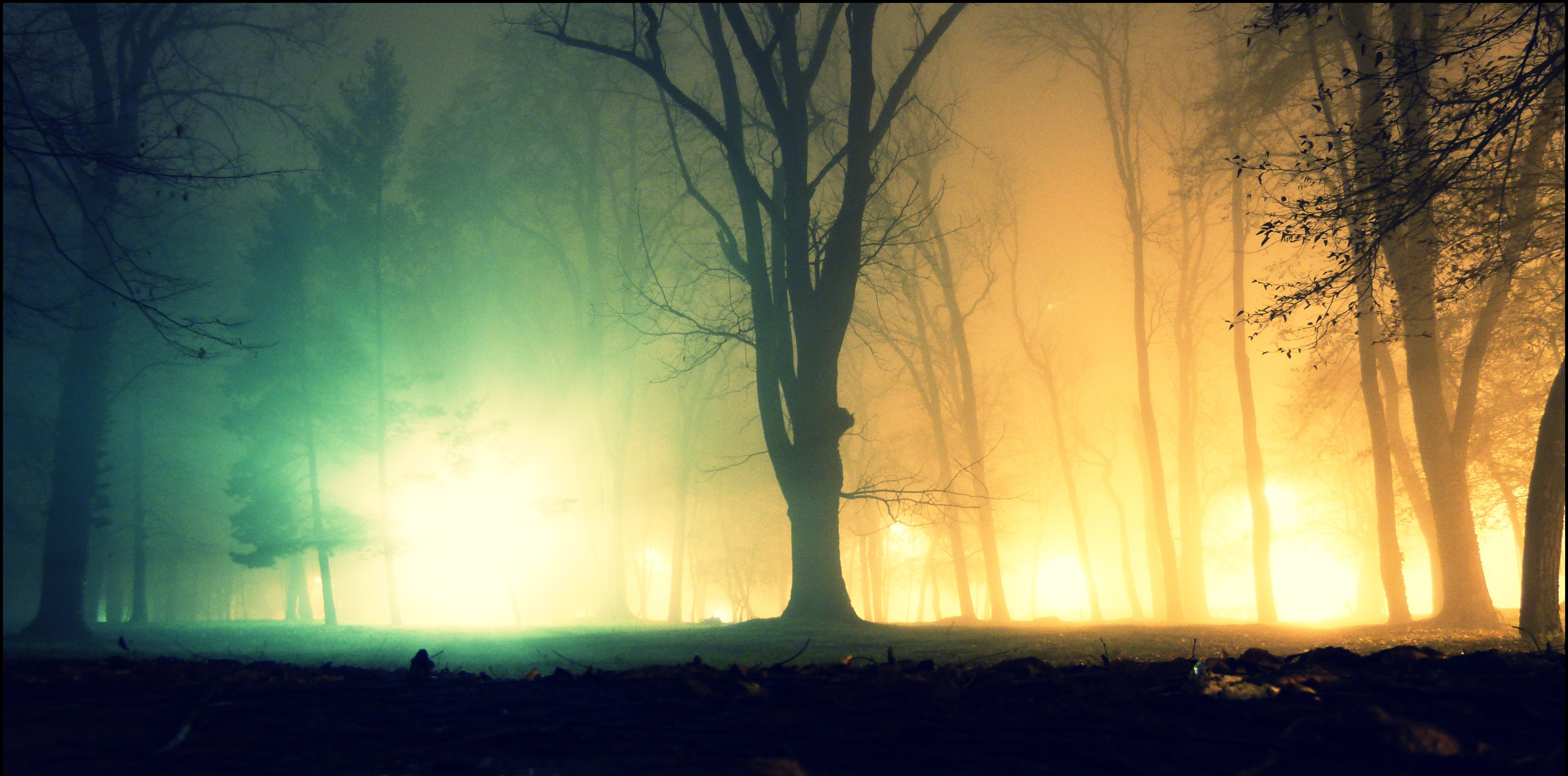 Fog In The Park - Shot In Color # by Renato9 on DeviantArt