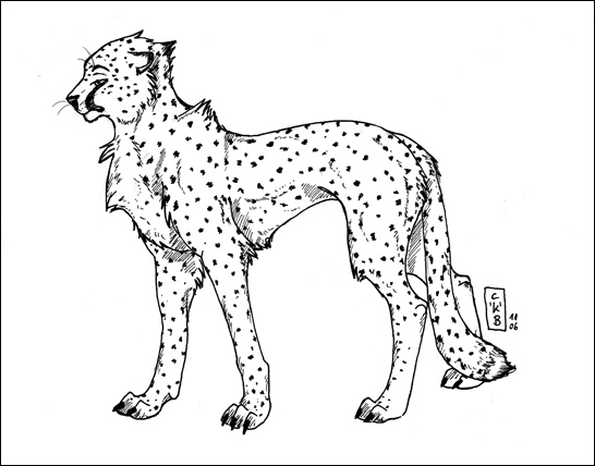Cheetah Lineart by kataviech on DeviantArt