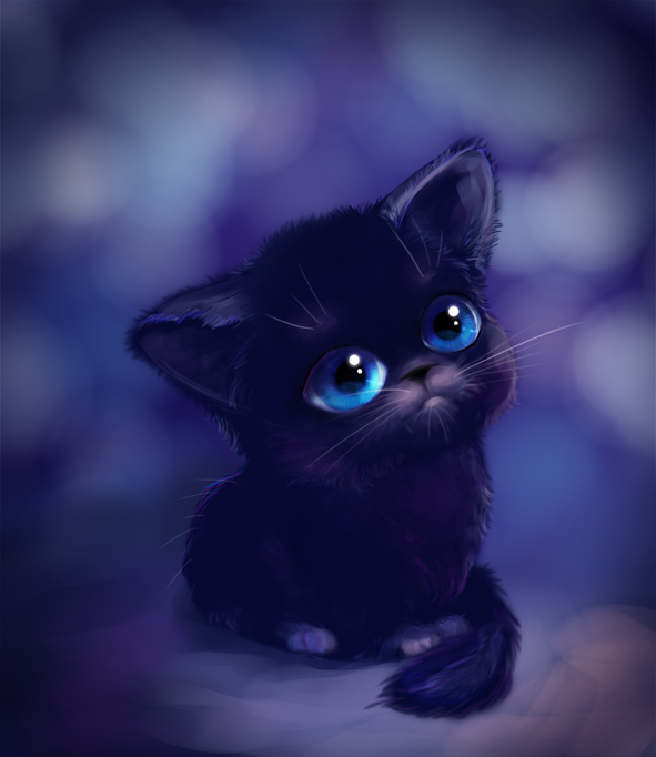 Kitten by Feierka on DeviantArt