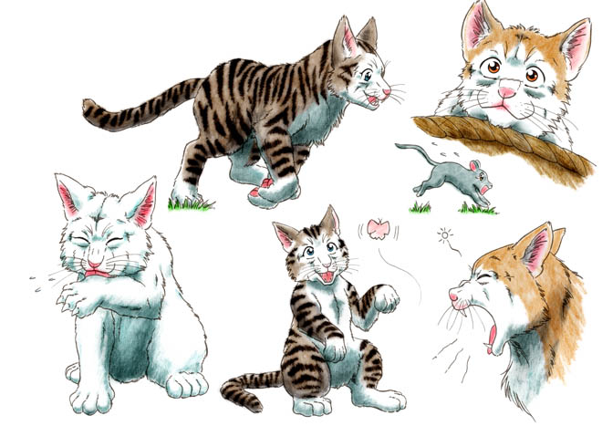 Cat sketch : Japanese Cat by SheltieWolf on DeviantArt