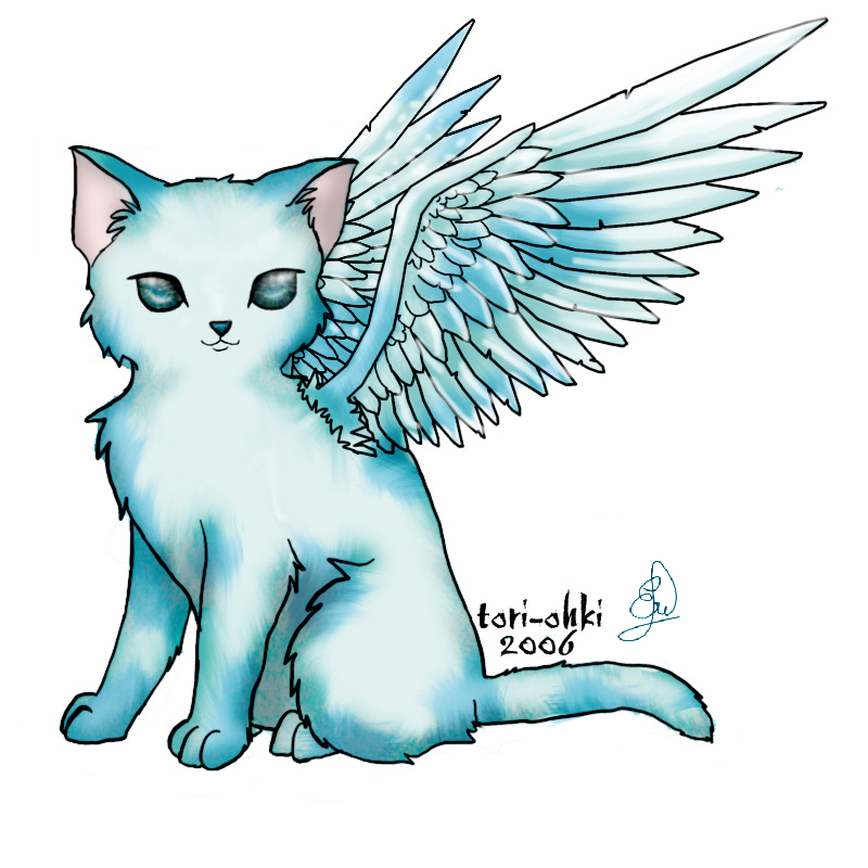 blue cat + wings by eriadnatearo on DeviantArt