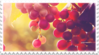 الغرفة الثانية Red_purple_grapes_stamp_by_glaciervapour-dbcyh5l