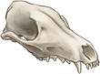 Fox Skull by TokoTime