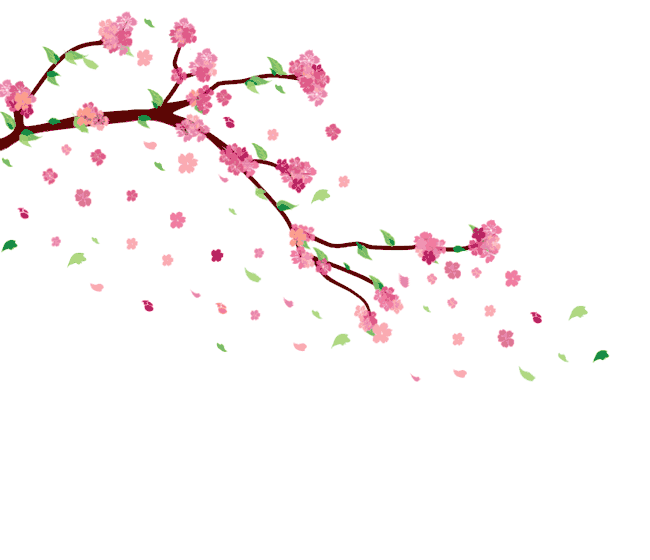 Cherry Blossom [GIF] by ayshamostafiz on DeviantArt