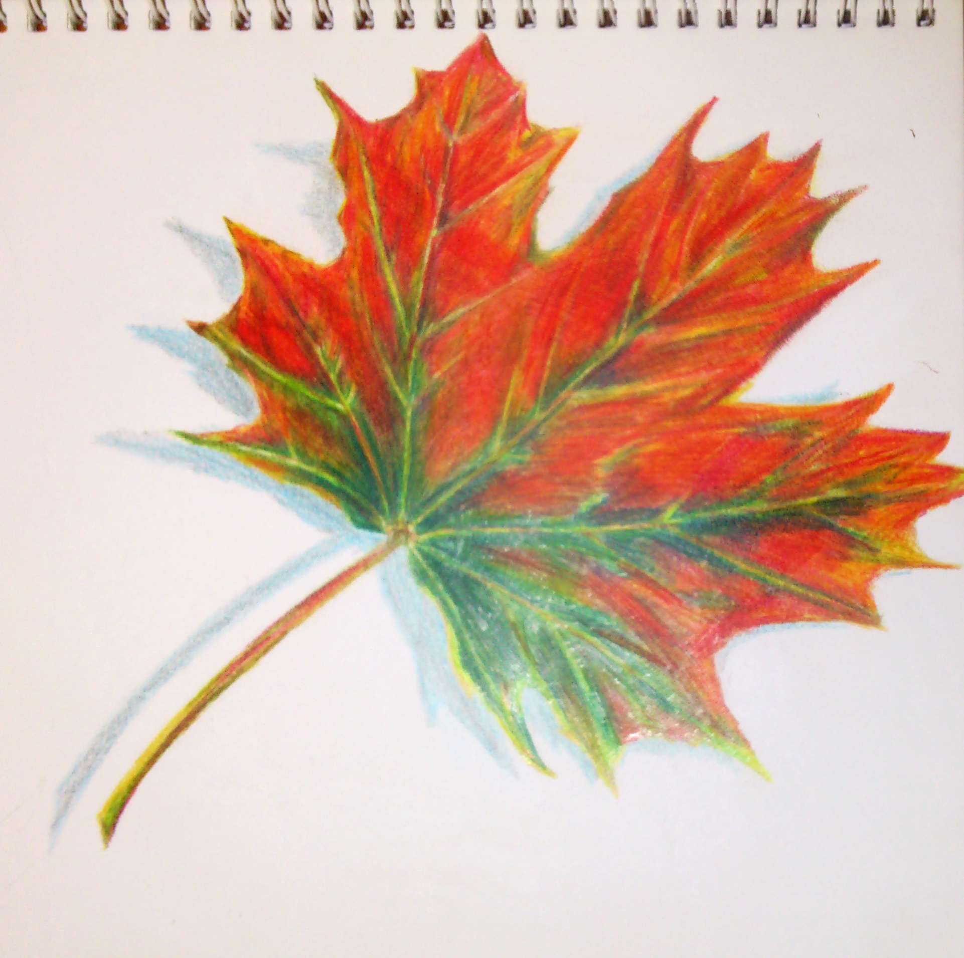 Autumn leaf (colored pencils) by KamilaM94 on DeviantArt