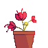 Plant icon (dont comment just use) by braindead-degenerate