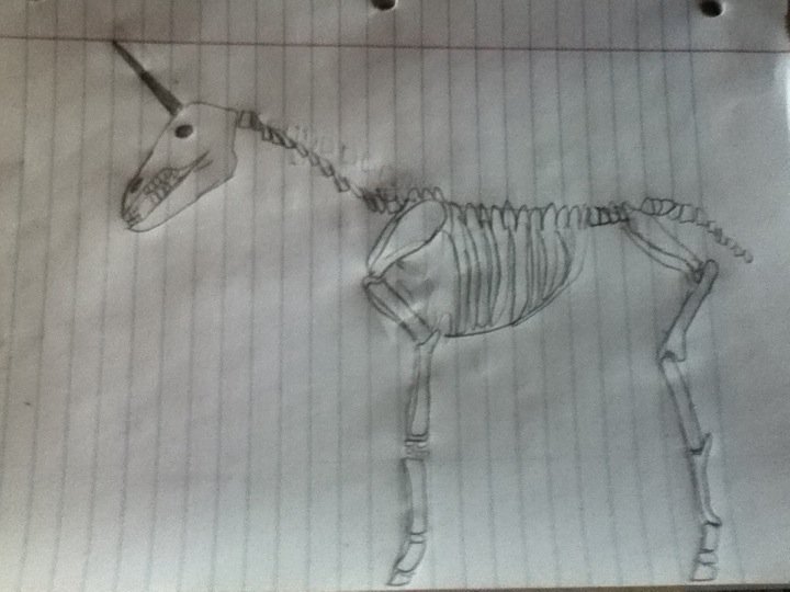 Evil Undead Unicorn Drawing by Kingfisher2 on DeviantArt