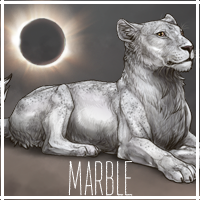 marble_by_usbeon-dbumwdy.png