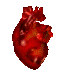 heart_by_eatyourskin-dcmped4.gif