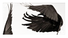 crow_stamp_by_black__crown-dbbb9d5.png